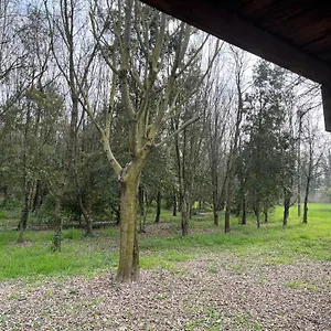 Apartamento Woods