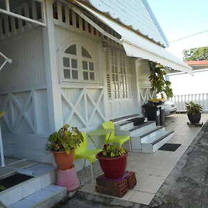 Vue Jardin Fleuri Le Lamentin